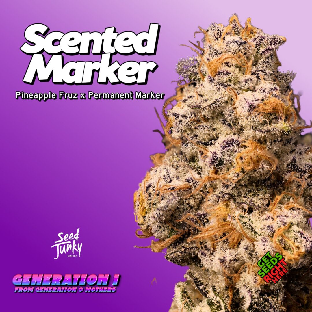 Scented Marker (Clone)