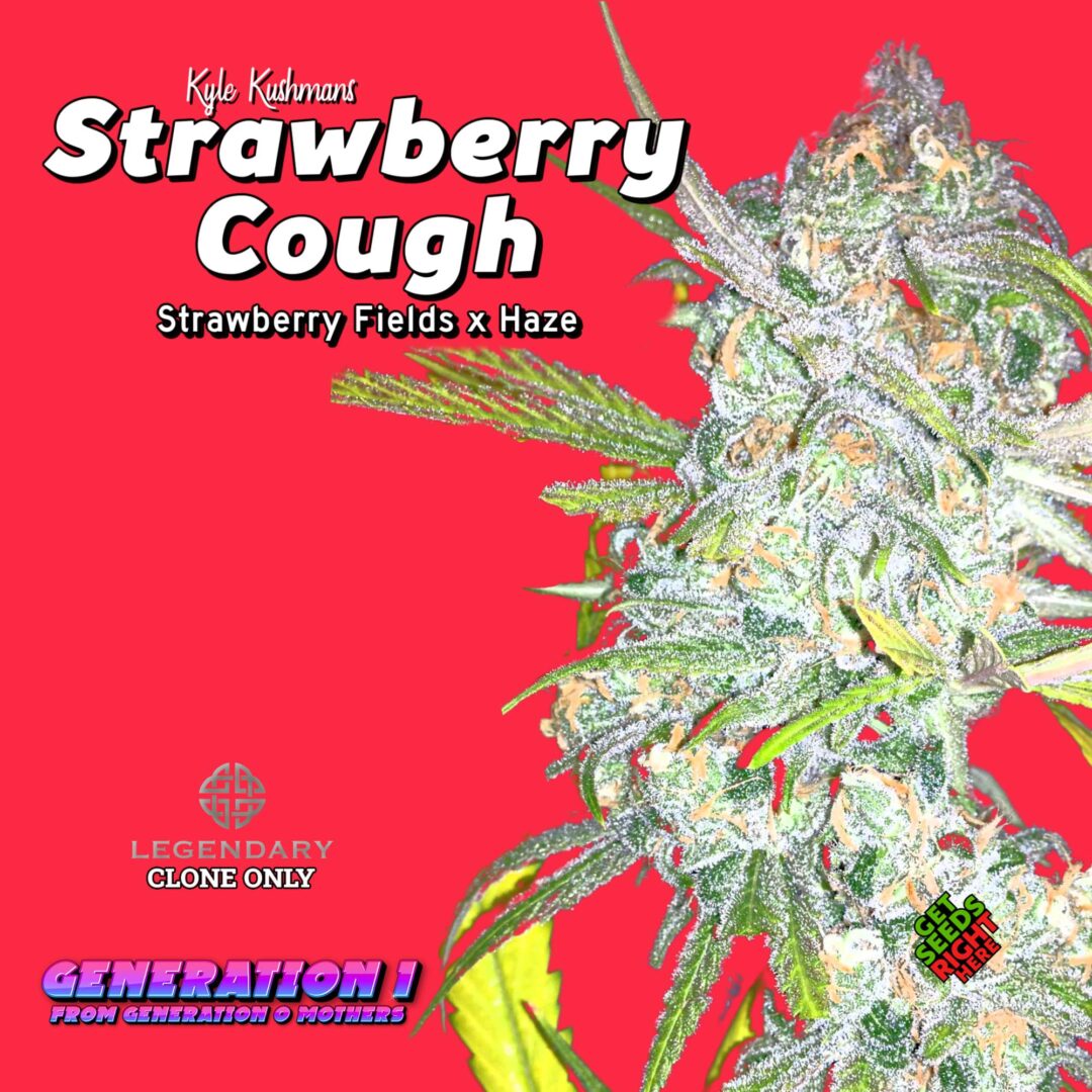 Strawberry Cough (clone)