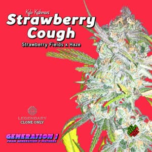 Strawberry Cough Cannabis Clones for sale