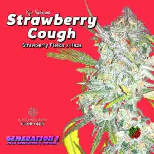 Strawberry Cough Cannabis Clones for sale