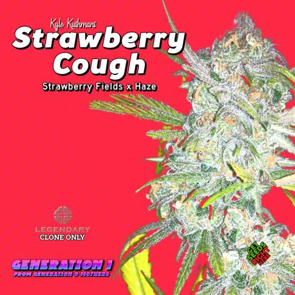Strawberry Cough Cannabis Clones for sale