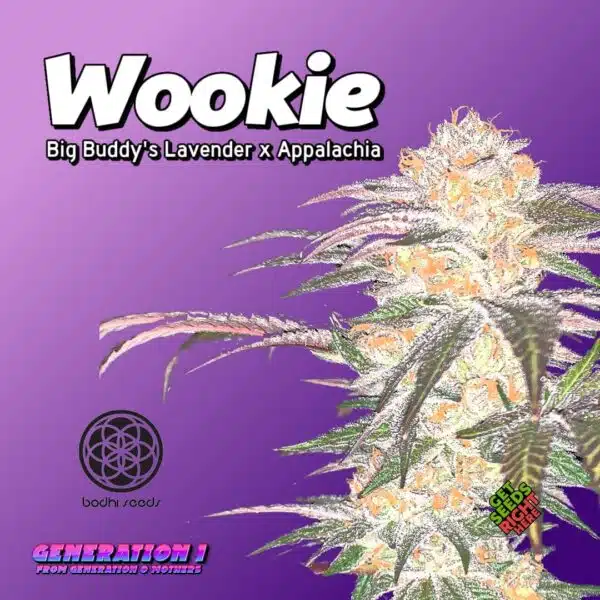 Wookie Cannabis Clones