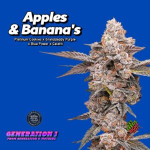 Apple’s &amp; Banana’s Cannabis Clones