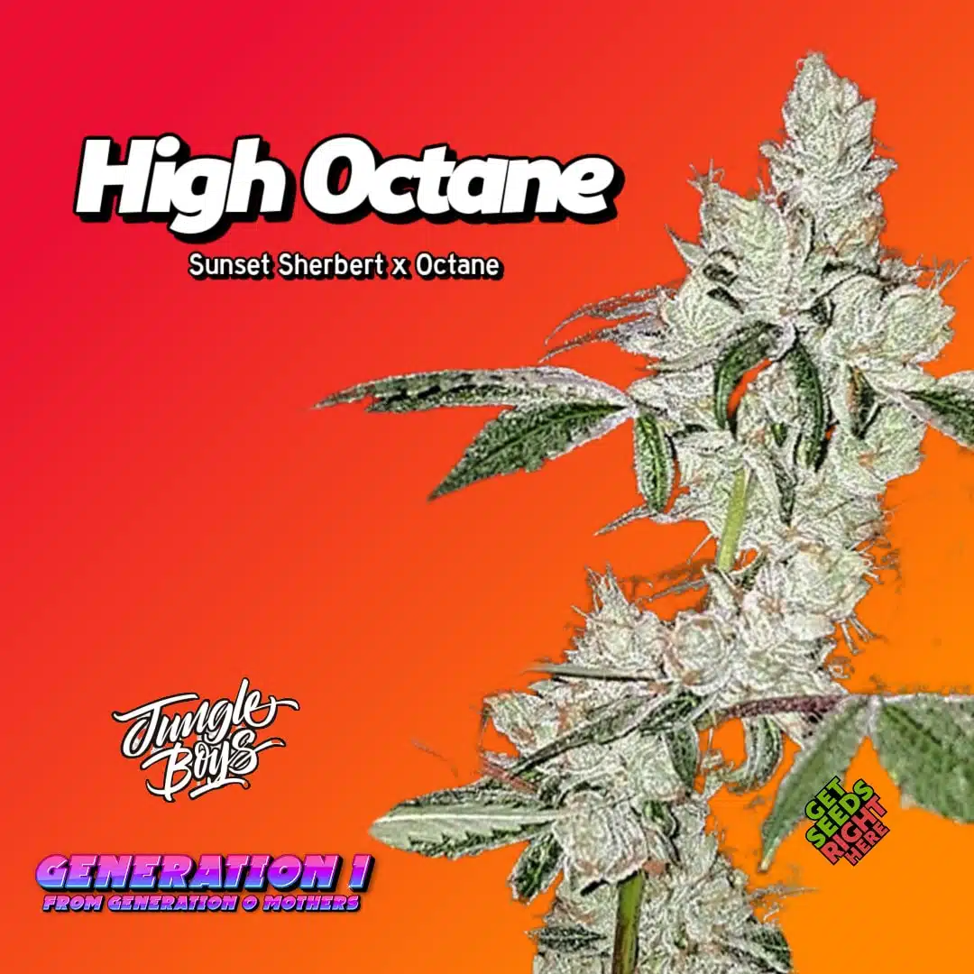 High Octane Cannabis Clones