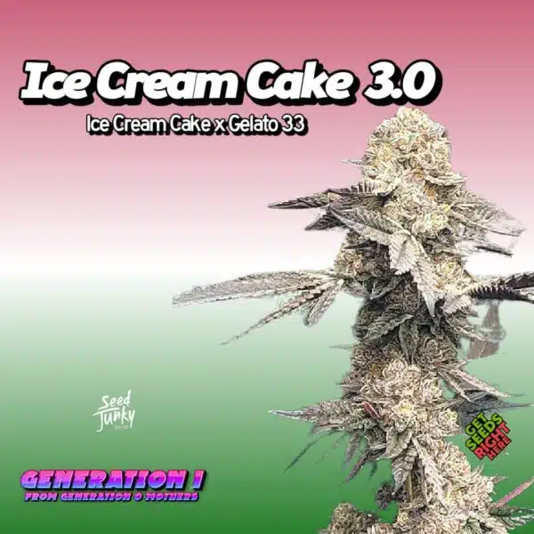 Ice Cream Cake  3.0 (clone)
