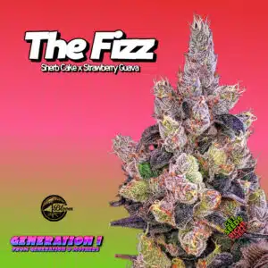 The Fizz (clone)