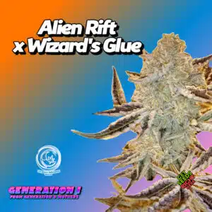 Alien Rift x Wizard’s Glue Cannabis Clones
