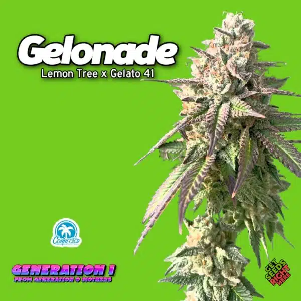 Gelonade (clone)
