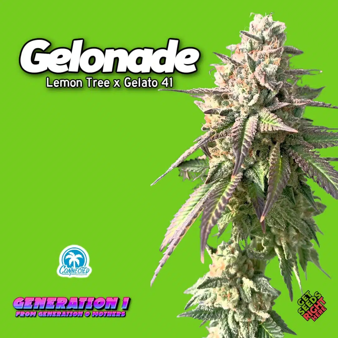 Gelonade (clone)