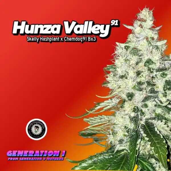 Hunza Valley 91 Cannabis Clones