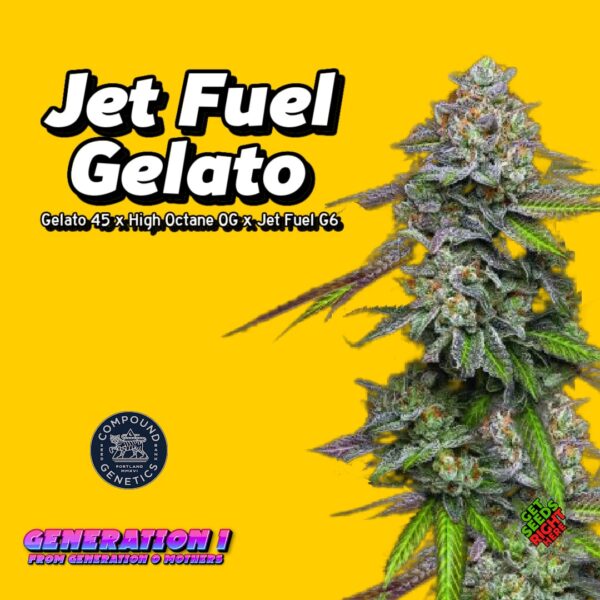 Jet Fuel Gelato Cannabis Clones for sale