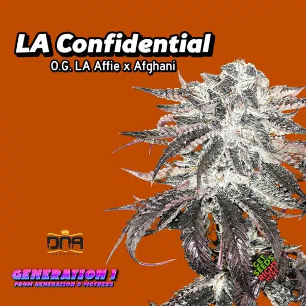 LA Confidential Cannabis Clones