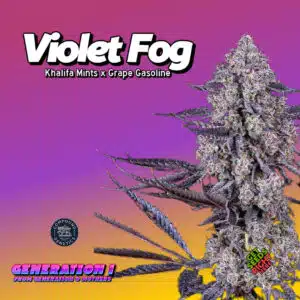 Violet Fog (clone)
