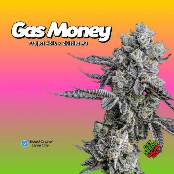 Gas Money (clone)