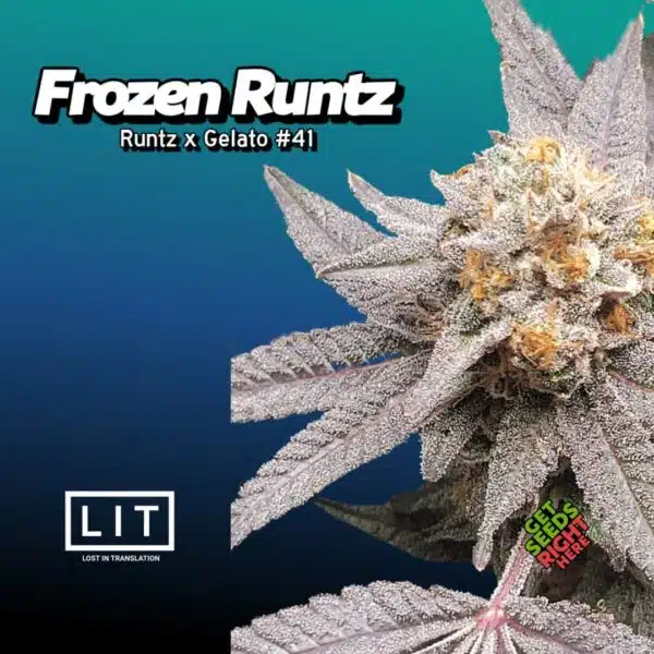 Frozen Runtz Clone