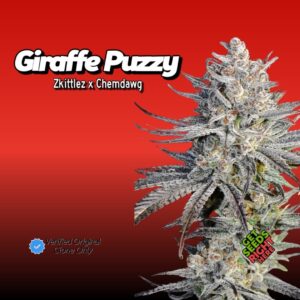 Giraffe Puzzy cannabis clones for sale