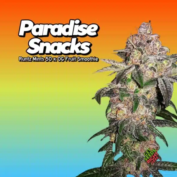 Paradise Snacks (Clone)