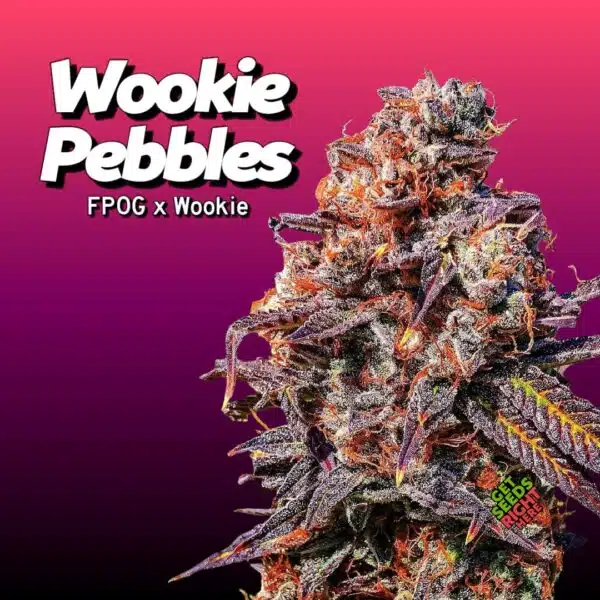 Wookie Pebbles Cannabis Clones