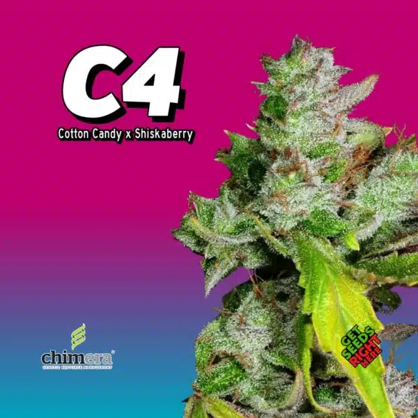 C4 Cannabis Clones