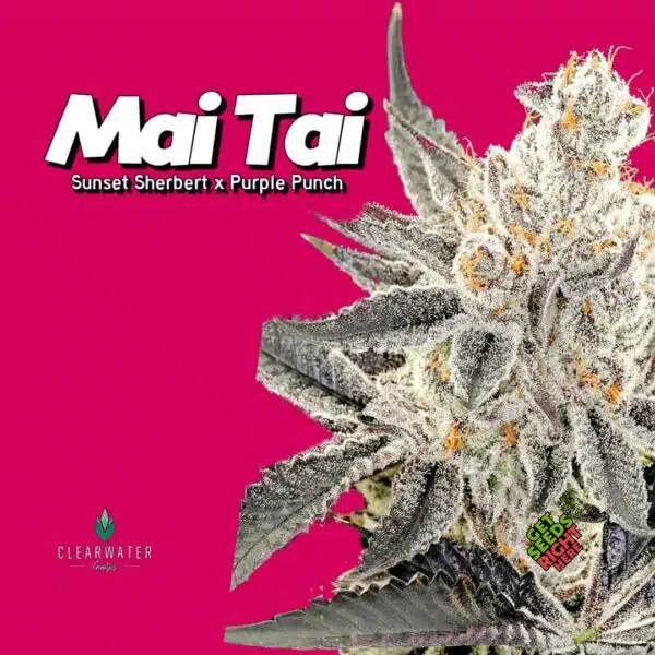 Mai Tai (clone)