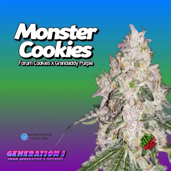 Monster Cookies Cannabis Clones