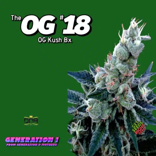 OG #18 Cannabis Clones