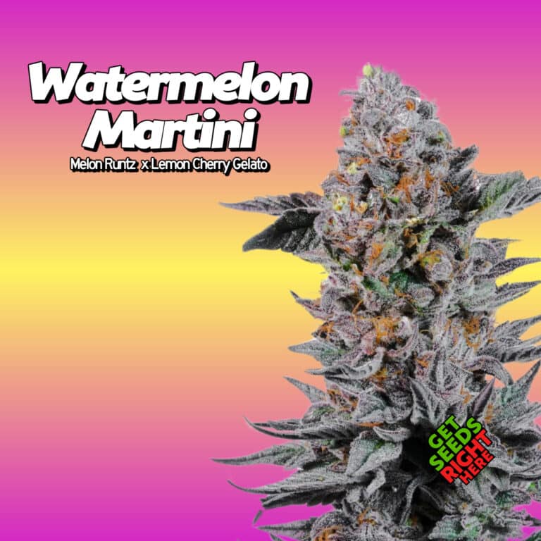 Watermelon Martini Clone