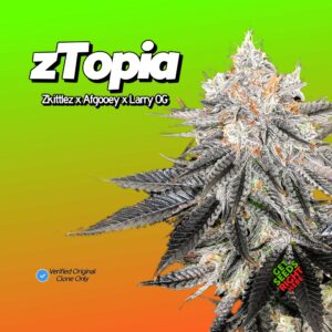 zTopia (clone)