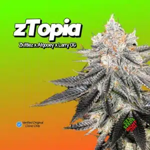 zTopia (clone)