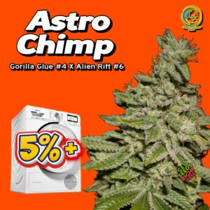 Astrochimp cannabis clones