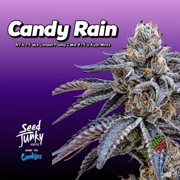 Candy Rain (clone)