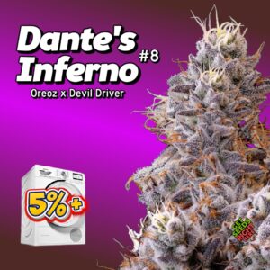 Dante’s Inferno #8 Cannabis Clones
