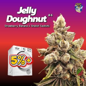 Jelly Doughnut #4 (cannabis clones)