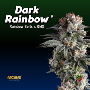 Dark Rainbow #1 (clone)