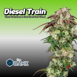 Diesel Train Cannabis Clones