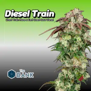Diesel Train Cannabis Clones