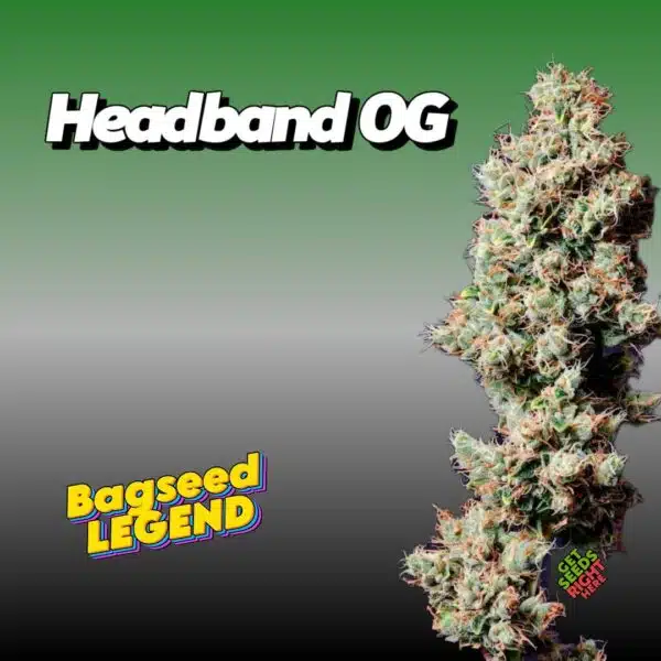 Headband OG Cannabis Clones