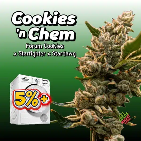 Cookies n Chem (clone)