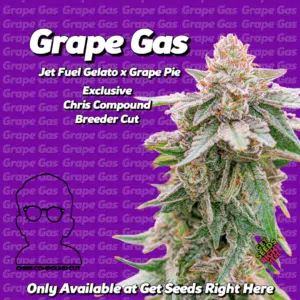 Cannabis cola labeled 'Grape Gas Jet Fuel Gelato x Grape Pie,' highlighting it as an exclusive Chris Compound Breeder Cut, available only at 'Get Seeds Right Here,' on a purple background with repeating 'Grape Gas' text.