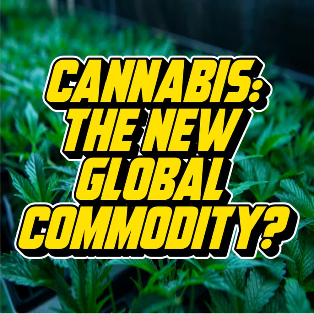 Text reading Cannabis: The New Global Commodity? over a background of vibrant cannabis plants growing in a controlled environment.