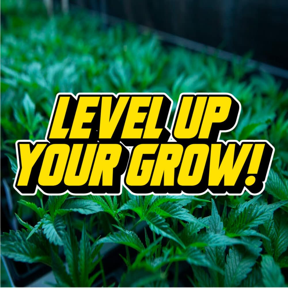 A vibrant background of lush, healthy cannabis plants with bold yellow text that reads "Level Up Your Grow!" overlaying the image.