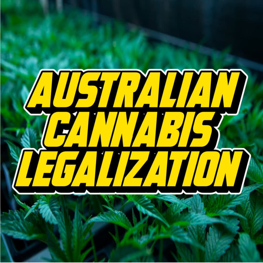 A bold graphic featuring the text "Australian Cannabis Legalization" over a lush background of cannabis plants, symbolizing a pivotal moment in the country's policy debate.