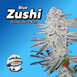 Blue Zushi Cannabis Clones – Zkittlez x Kush Mints #11 hybrid with creamy candy gas 🧊🍬