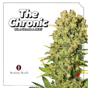 Close-up of The Chronic cannabis clones with dense, trichome-coated buds against a clean white background. The text reads 'The Chronic' with its lineage 'NL x Skunk x AK47.' The Serious Seeds logo appears at the bottom left, along with a 'Get Seeds Right Here' label in the bottom right.