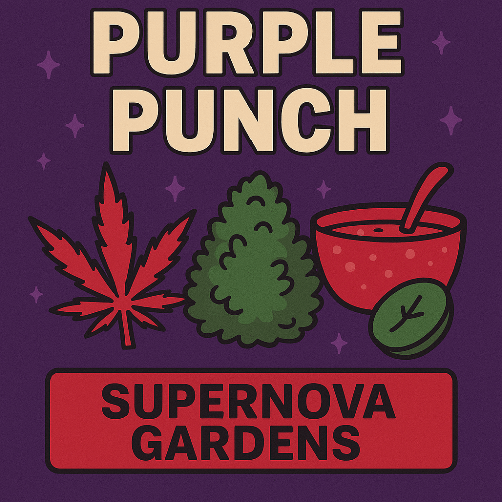 Purple Punch cannabis strain graphic with red weed leaf, green nug, punch bowl, and Supernova Gardens logo on purple background.