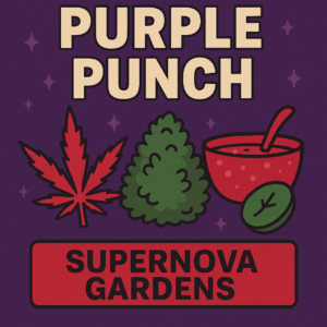 Purple Punch cannabis strain graphic with red weed leaf, green nug, punch bowl, and Supernova Gardens logo on purple background.
