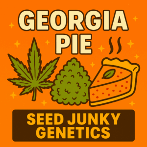 Illustration of Georgia Pie strain with cannabis leaf, nug, and pie slice on orange background; text reads "Georgia Pie &ndash; Seed Junky Genetics"