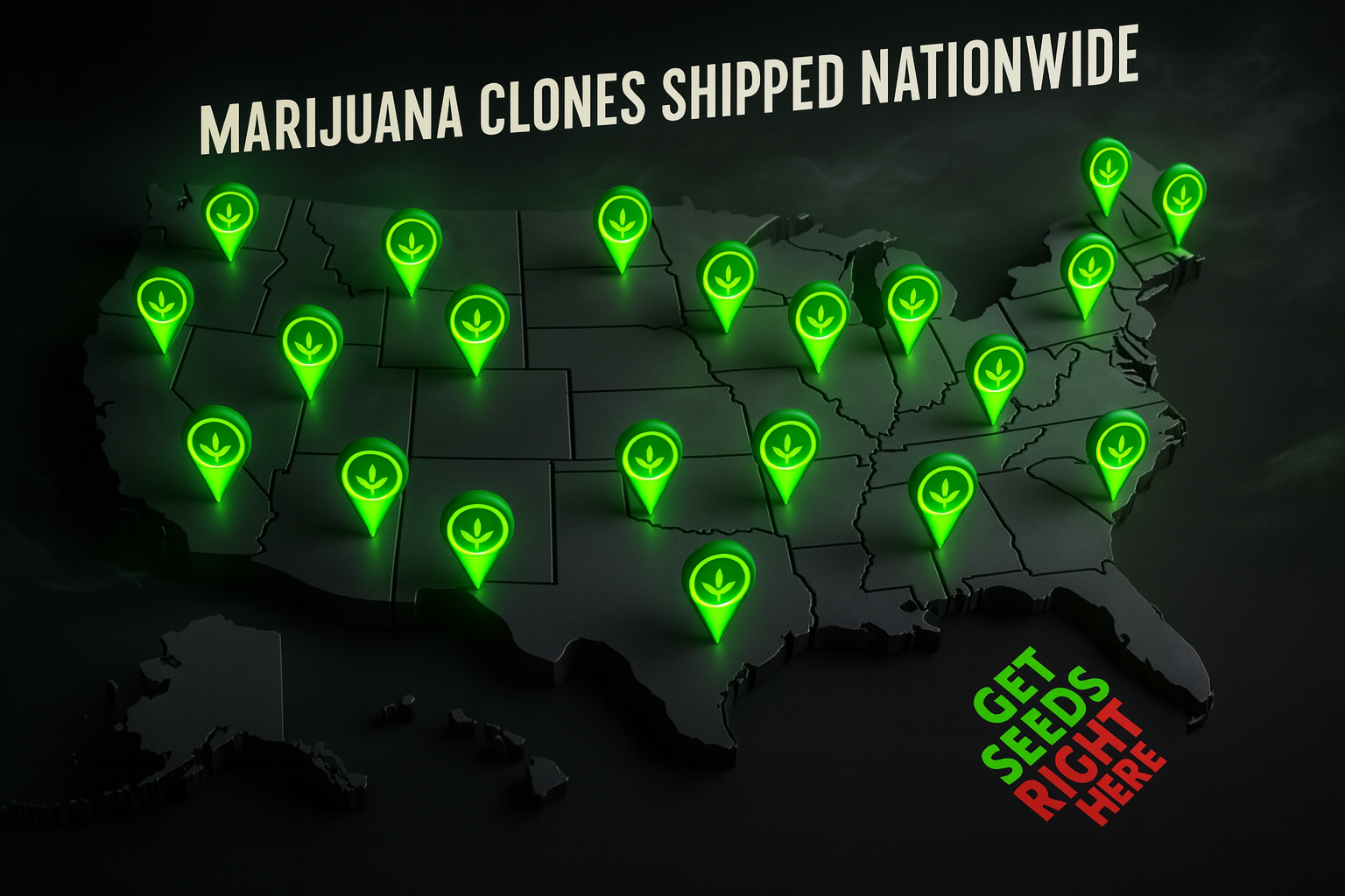 Clones by mail – Marijuana plants shipped to all 50 states