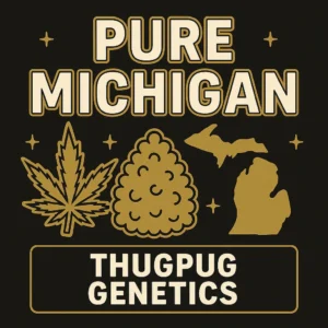 Pure Michigan Strain Cannabis Clones: Complete Guide to Marijuana Clones