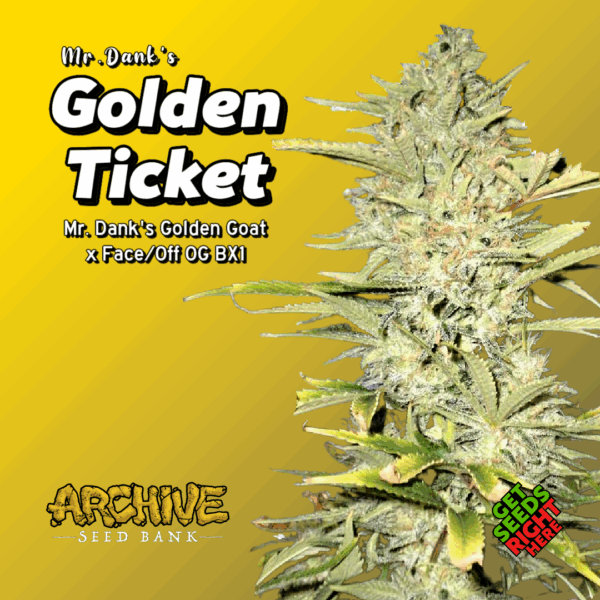 Mr Danks Golden Ticket strain Archive Seedbank